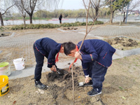 春天，我们一起“浇”个树朋友