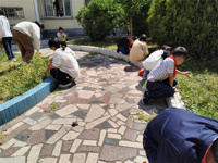 一起来当校园“除草小卫士”吧